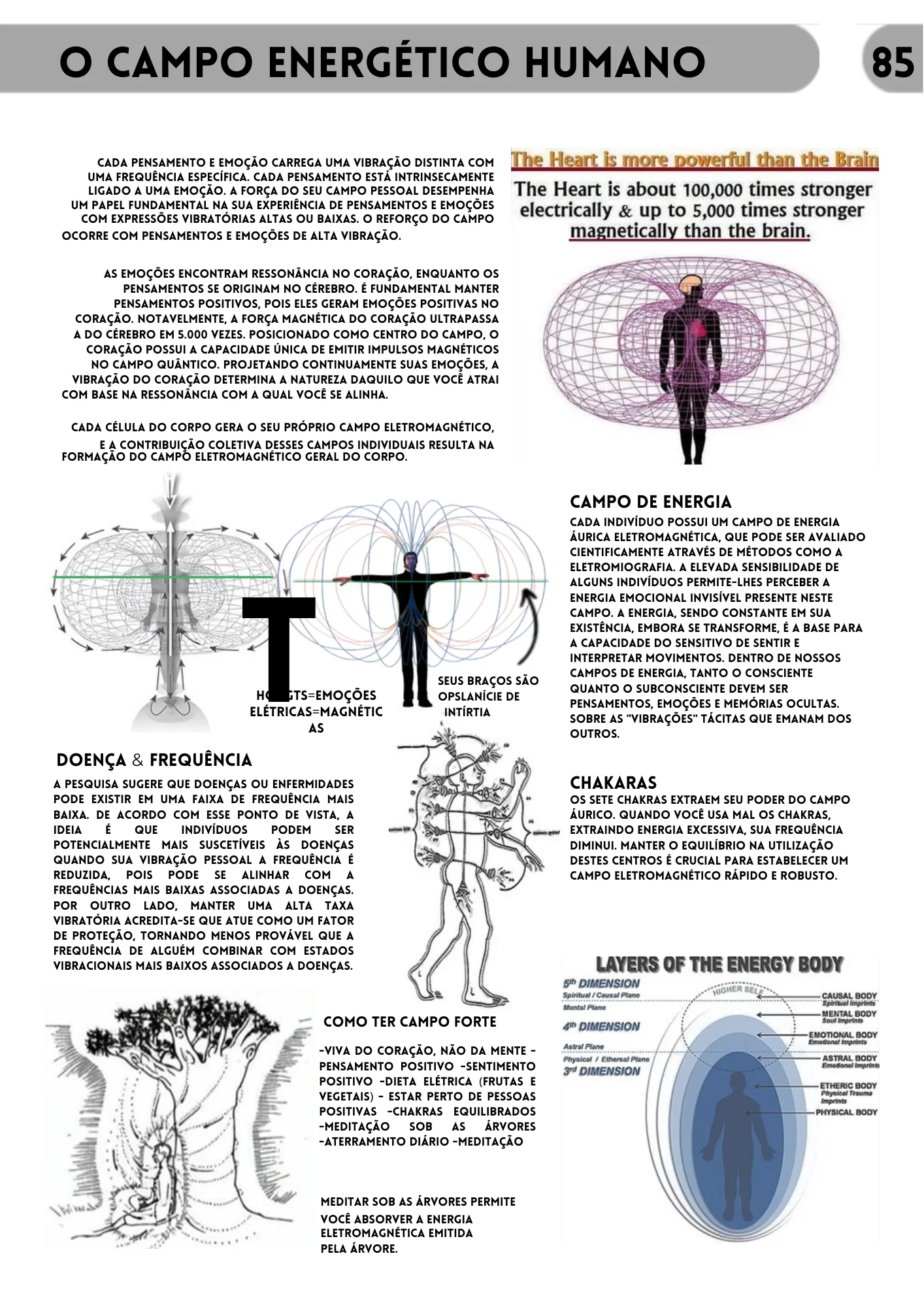 livro da sabedoria completo-86.pdf[1]
